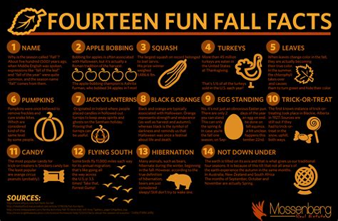 10 Fun Leaf Facts You Need to Know .